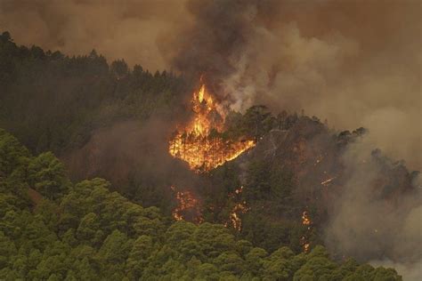 Incendio Sin Control En Tenerife Afecta A Personas