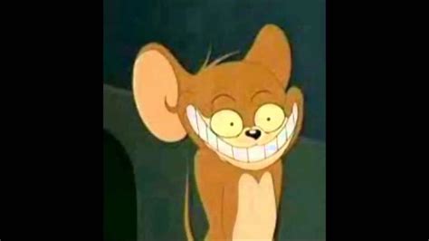 Episodes Of Tom And Jerry Masspotent