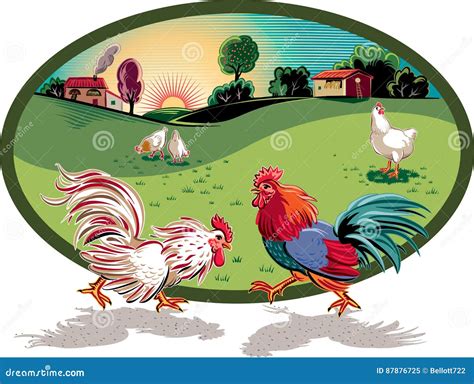 Hens and Two Roosters Fighting. Stock Illustration - Illustration of ...