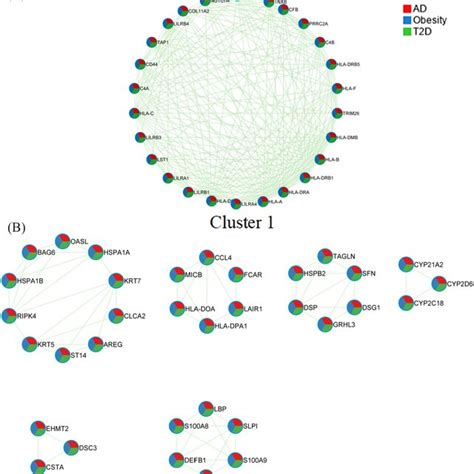 A Construction Protein Protein Interaction PPI Network Of The