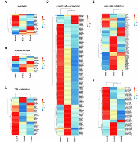 Metabolic Heterogeneity And Transcriptional Regulatory Heterogeneity In