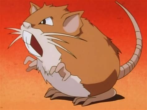 Gentlemans Raticate Pokémon Wiki Fandom Powered By Wikia