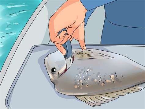 How to Fish (with Pictures) - wikiHow