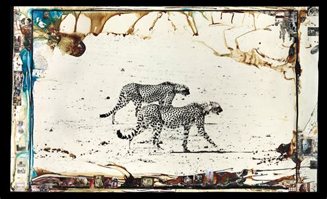 Peter Beard B 1938 Hunting Cheetahs On The Tarn Desert 1960 Early