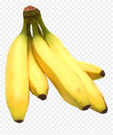 Download Banana Bunch Png Image - Banana Bunch Png Clipart (#3277092 ...