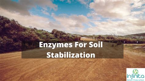 Bio Enzyme For Soil Stabilization Infinita Biotech