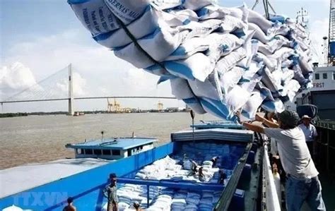 Thai Rice Shipment Goal For Set At M Tonnes Infoarroz Org