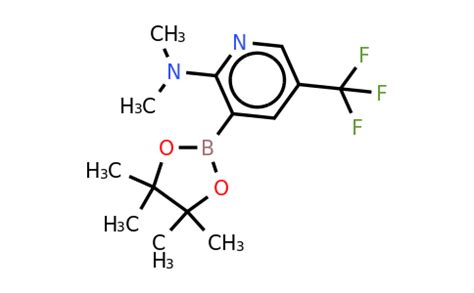 N N Dimethyl Tetramethyl Dioxaborolan Yl