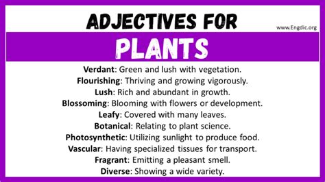 20 Best Words To Describe Plants Adjectives For Plants Engdic