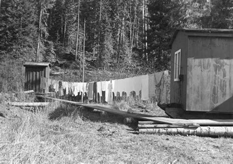 Loggers Logging Camps Forest History Society