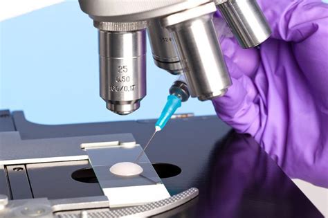 Overview Of Semen Analysis At A Denver Fertility Clinic Rocky Mountain