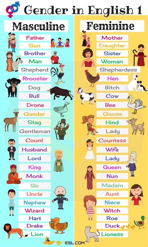 Nouns Gender Worksheet For Class 4