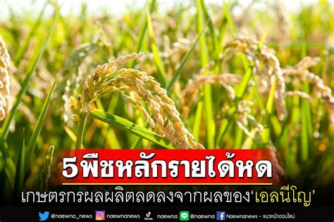 โลกธุรกิจ เกษตรกร5พืชหลักรายได้หด ผลผลิตลดลงจากผลของ‘เอลนีโญ