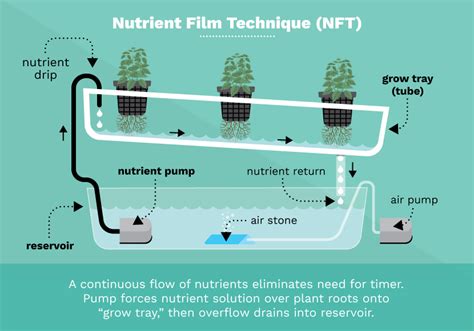 Basic Types Of Hydroponic Systems