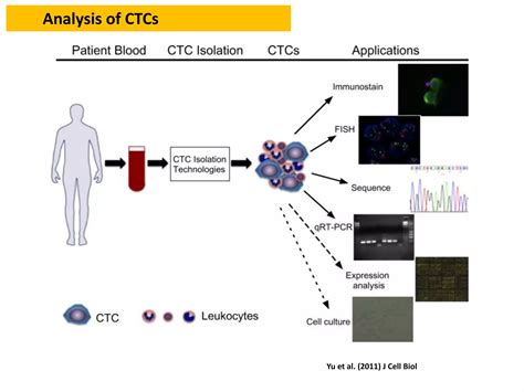 Liquid Biopsy Ppt