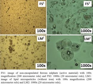 Ferrous Sulfate Microparticles Obtained By Spray Chilling