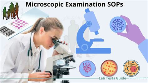 12 Microscopic Examination SOPs A Comprehensive Guide To Sample