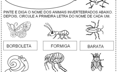 Animais Vertebrados E Invertebrados Atividades E Desenhos Colorir Imprimir 2 Portal Escola