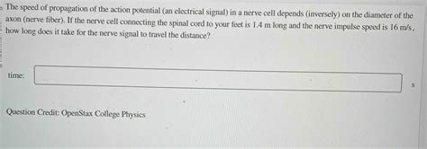 Solved The speed of propagation of the action potential (an | Chegg.com 
