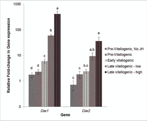 Relative Fold Change In Gene Expression Of Two Doublesex Genes Dsx1