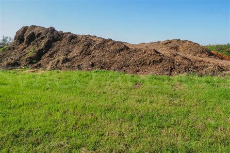 Large Mulch Pile Swico Auctions