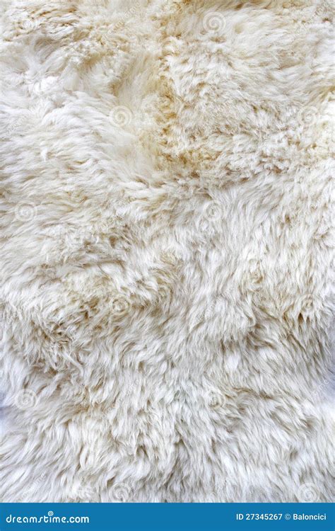 fur material stock image image  material texture