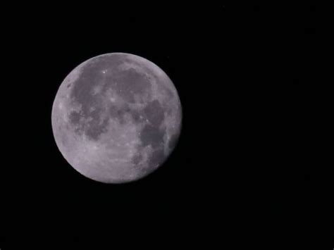 Luna Llena De Castor Por Qu Se Le Conoce As Y Cu Ndo Verla En Cdmx