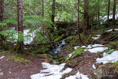 I Heart Pacific Northwest