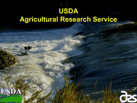 Usda Agricultural Research Service