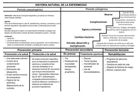 Historia Natural De La Enfermedad Bronquitis Definici N Inflamaci N