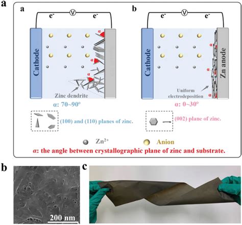 The Crystallographic Orientation Of Zn²⁺ During Deposition A