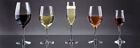 Types Of Wine Glasses Shapes Styles Sizes And More