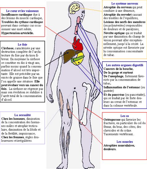 Les Effets De La Consommation Abusive D Alcool