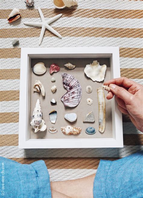 6 Sommerdeko Ideen Zum Basteln Mit Muscheln Aye Aye Diy