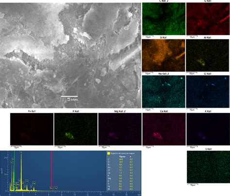 Sem Micrograph Edx Elements Mappings And Edx Spectra Of Sample 33 Download Scientific Diagram