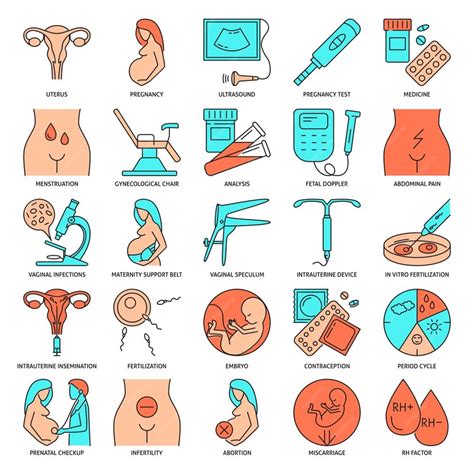 Premium Vector Gynecology And Obstetrics Icon Set