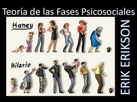 Teoría Psicosocial Erikson