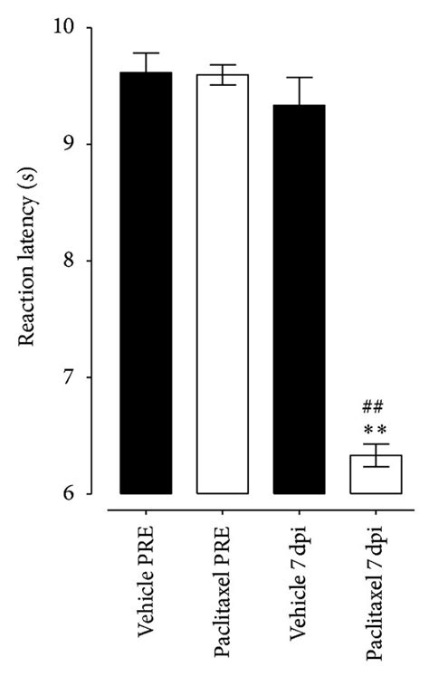 Effect Of Treatment With E139 On BALB C Mice With Paclitaxel Induced