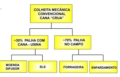 Desafios e benefícios do aproveitamento da palha de cana em 16 slides