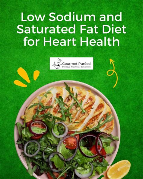 Low Sodium And Saturated Fat Diet Gourmet Puréed Affiliate Partner