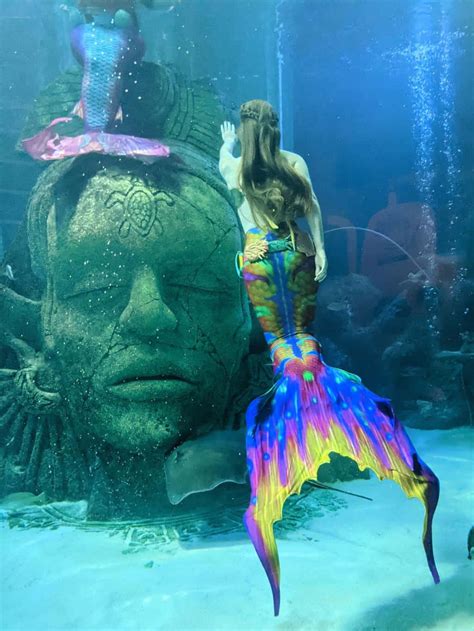 An Incredible Compilation Of Authentic Mermaid Photos Over 999 Real