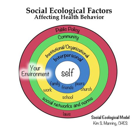 The 25+ best Social ecological model ideas on Pinterest | Ecological ...