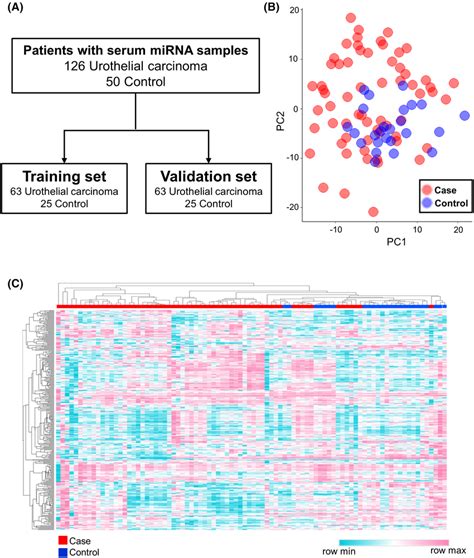 Candidate Mirna Selection Strategy In Urothelial Carcinoma A Sample