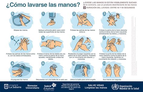 La Importancia Del Lavado De Manos