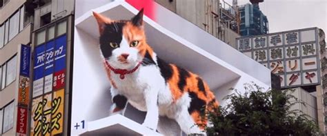 Outdoor gigante hiper realista em 3D exibe Gato em Tóquio e hipnotiza