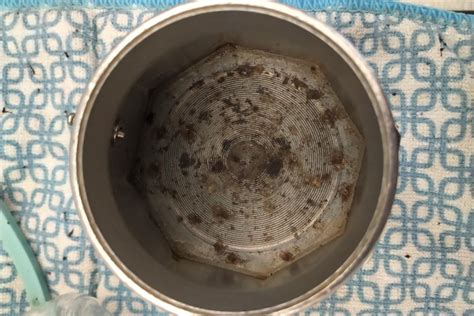 Any for cleaning bottom of Moka Pot? : r/CleaningTips