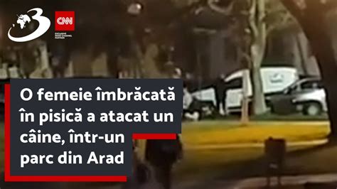 O femeie îmbrăcată în pisică a atacat un câine într un parc din Arad