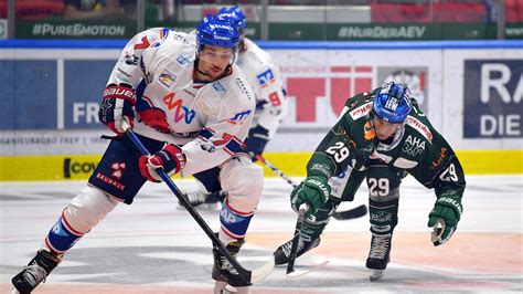 Panther Verlieren Erstes Heimspiel Gegen Mannheim News Augsburger