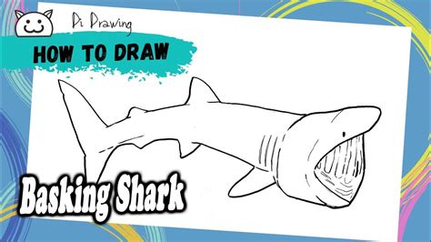 How To Draw Basking Shark Youtube