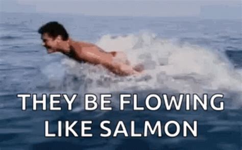 David Hasselhoff Swim David Hasselhoff Swim Discover Share GIFs